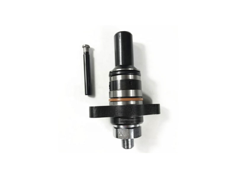 ກາຊວນ Injector Pump Plunger 2418455309